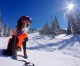 After Wolf Creek, Loveland, A-Basin jockey to launch ski season on daily basis
