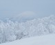 Rusutsu really is epic, both as a powder magnet and tree-skiing Mecca