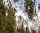 Sheriff identifies skier who died in avalanche near Beaver Creek