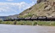 Federal agencies oppose rehearing of rail ruling that found in favor of Eagle County, green groups