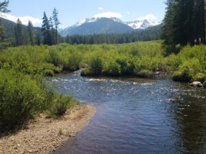 Homestake Partners to release water into Eagle River in pilot program - RealVail