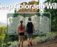 Annual vehicle registrations now include Keep Colorado Wild Pass for state parks