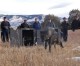 Colorado releases 5 wolves on public lands in neighboring Grand County