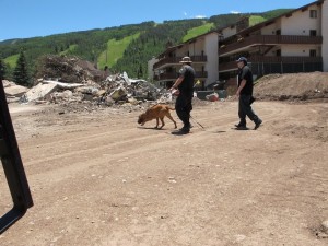 canine unit searches for bones in Vail