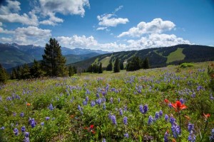 Vail Mountain