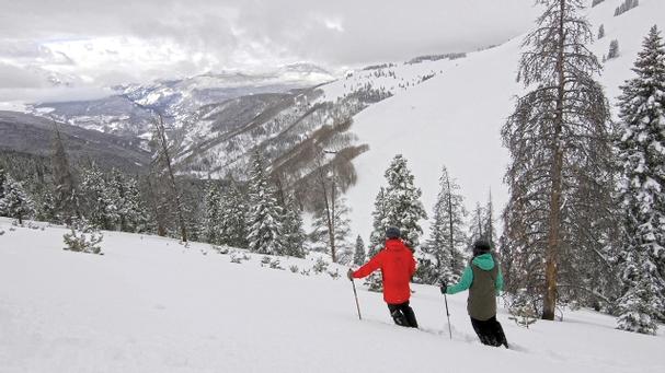 Back Bowls open