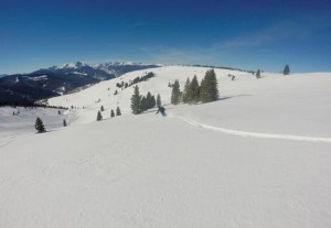 china bowl opens