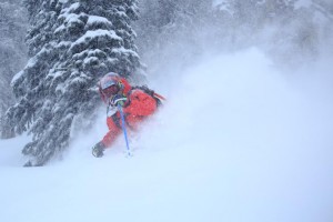 wolf creek powder