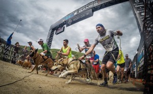 Rocky Dog Trail Run at the GoPro Mountain Games