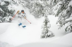 vail powder