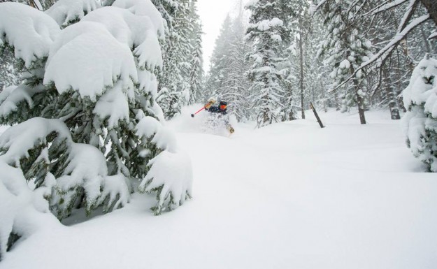 vail powder day