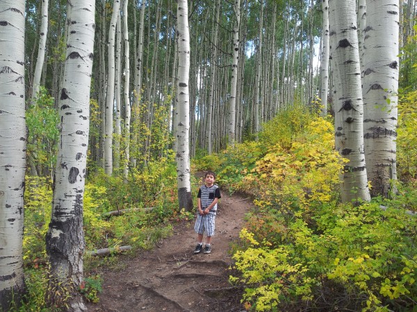 Hiking East Lake Creek trail near Edwards.