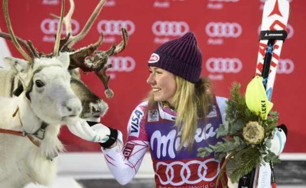 shiffrin-reindeer