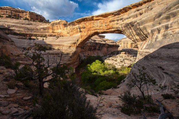 Natural-Bridges-National-Monument.-Utah.-Photo-Jacob-W-Frank-(NPS)_WEB