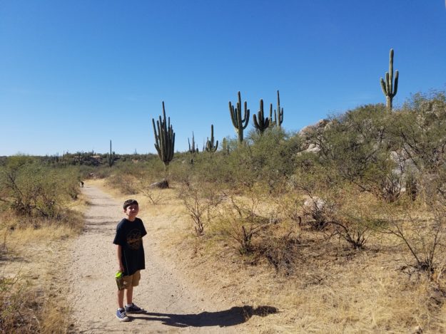 hiking in Catalina Mountains