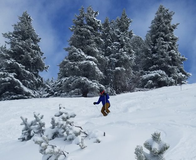 kristin skiing faro trees game creek bowl