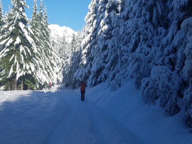 nordic skiing mount baker 123117