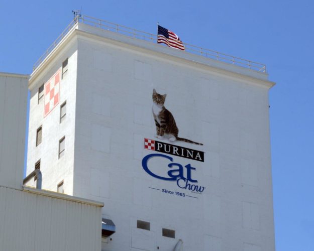 Purina plant