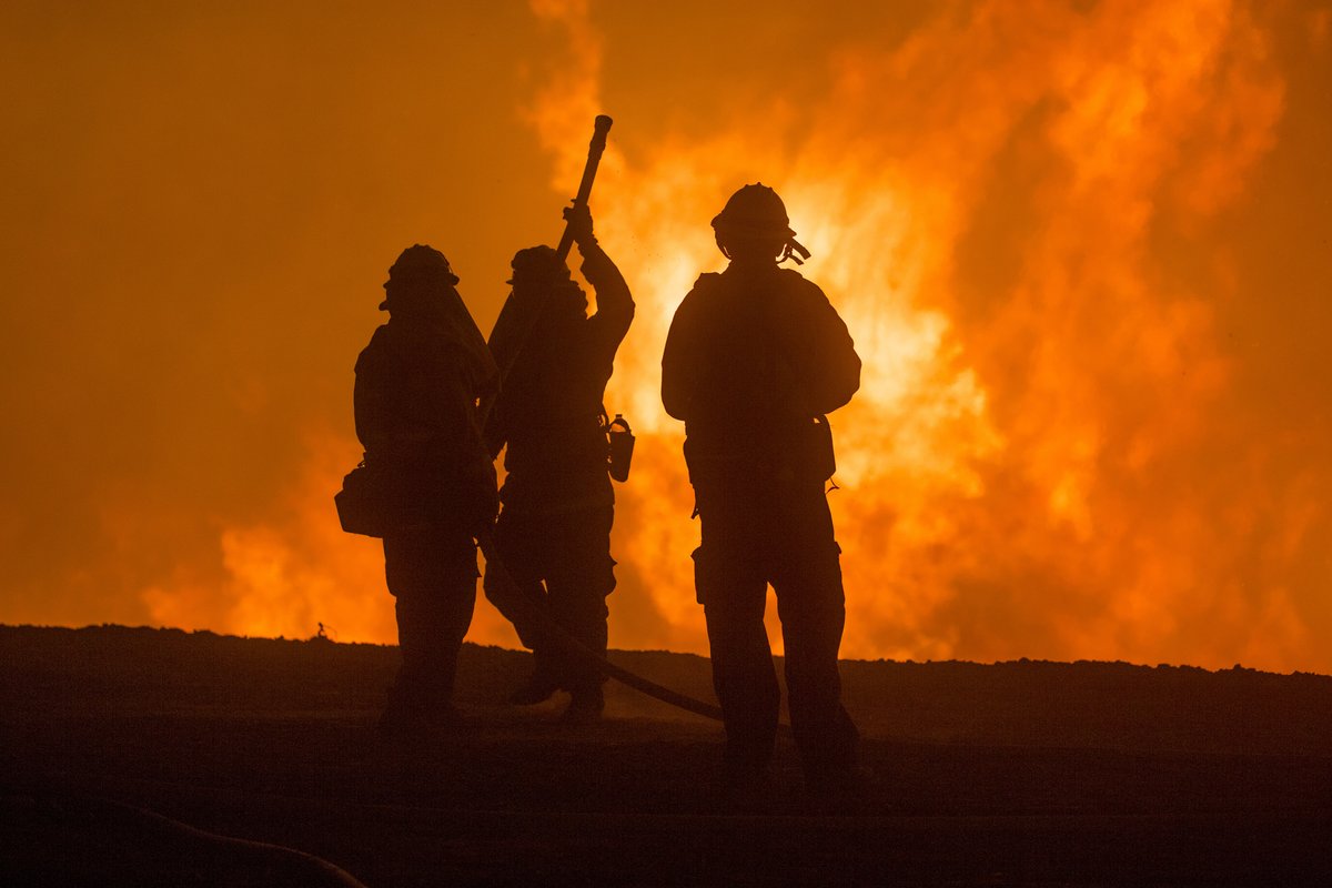 Fire many. Калифорнийский пожарный. USFS Fire