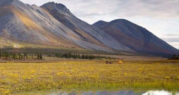 arctic national wildlife refuge