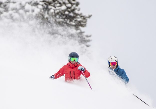 back bowls powder Abby Hein