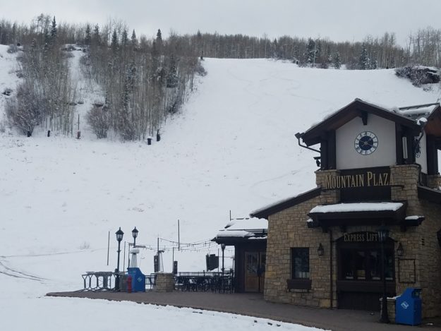 pepi's face full of snow at Vail